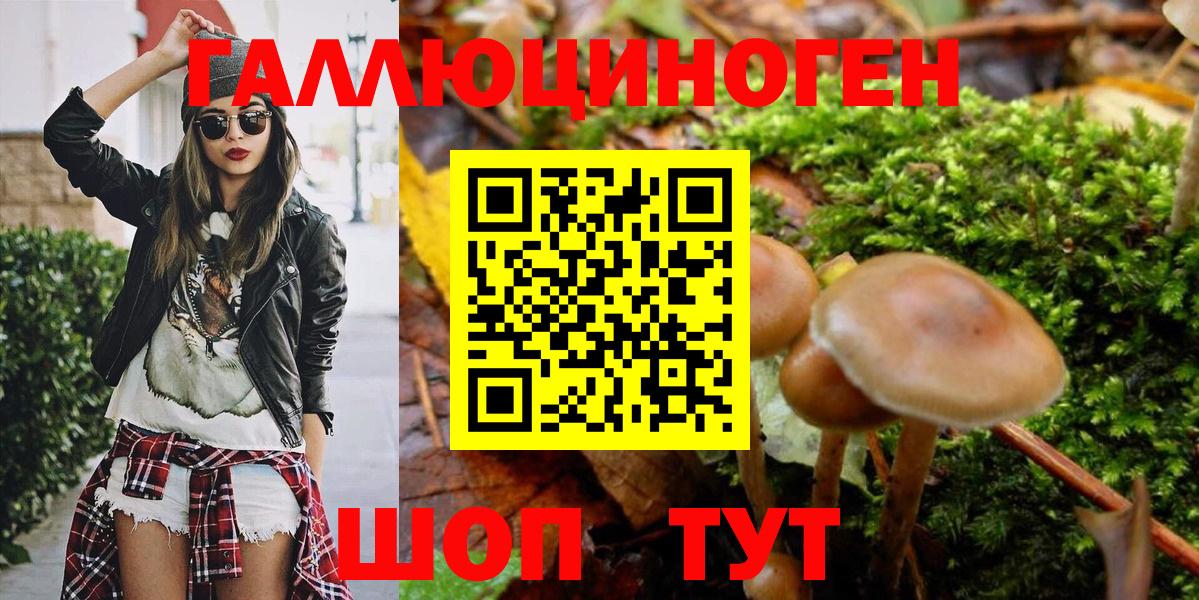 купить наркотик  Вход с VPN  Ростов Великий  Галлюциногенные грибы GOLDEN TEACHER 