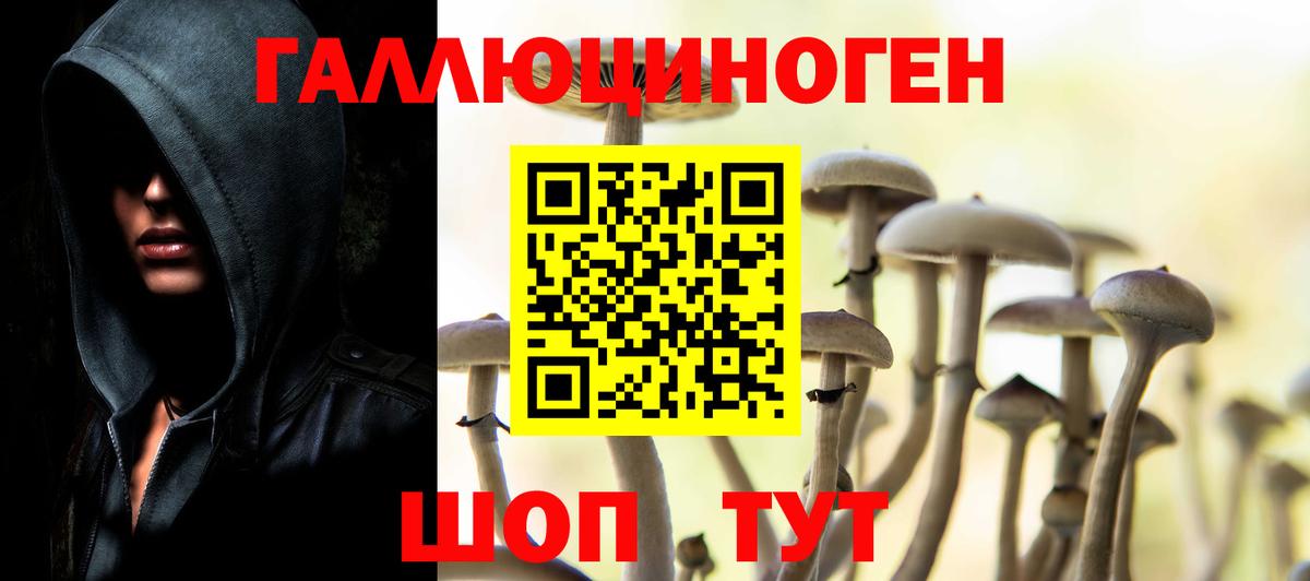 Псилоцибиновые грибы Psilocybine cubensis Ростов Великий